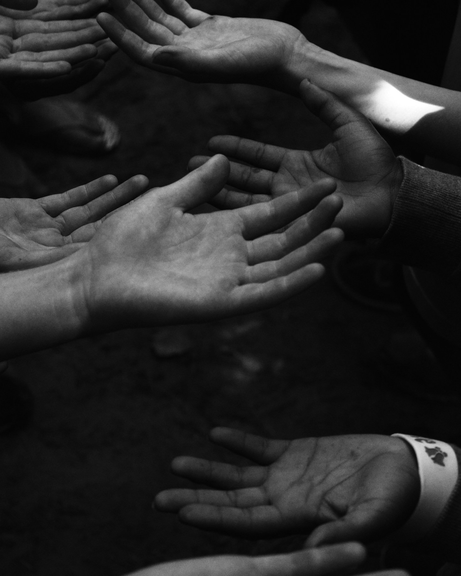 The Impact of Your Donations: Real Stories