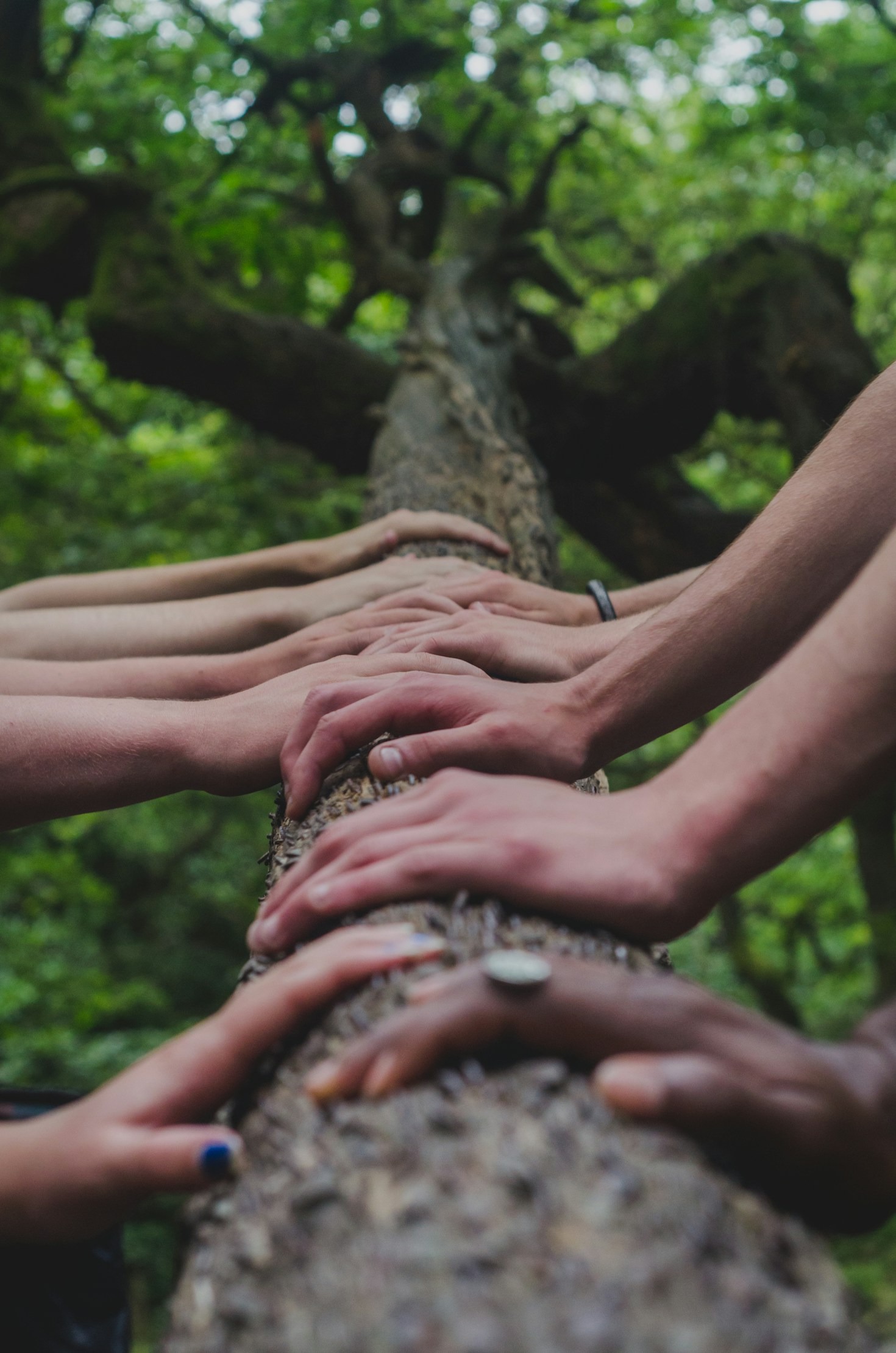 Why Supporting Local Charities Matters More Than Ever