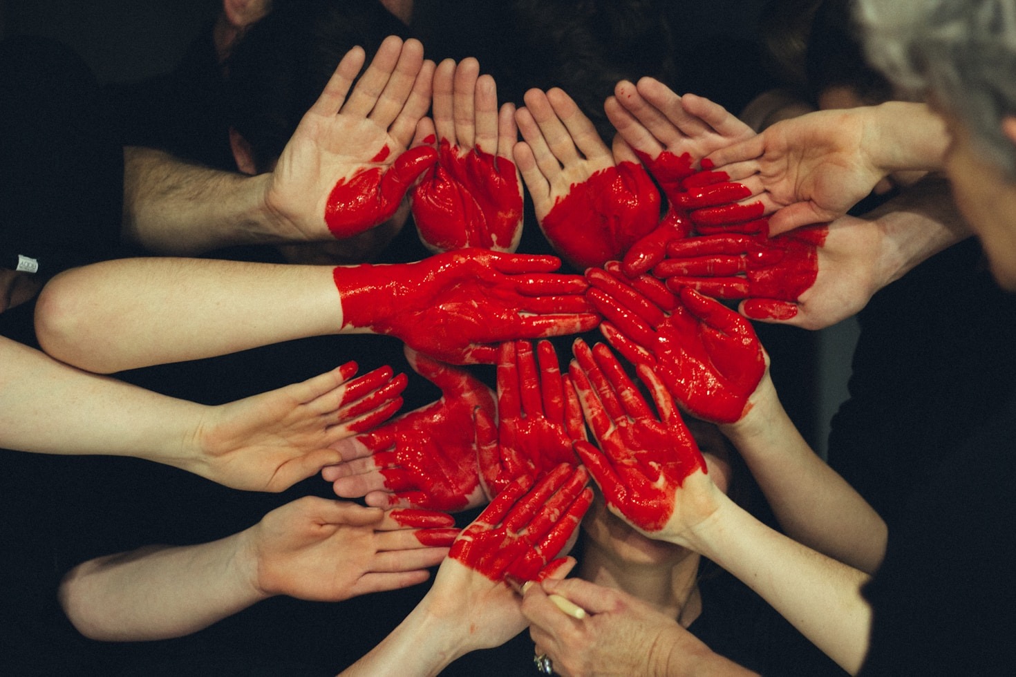 Volunteer Spotlight: Stories of Dedication and Heart